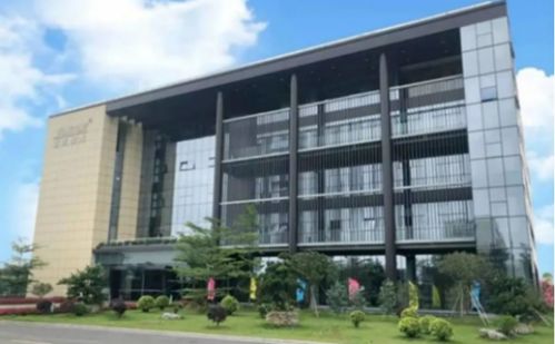 道氏技術(shù)與產(chǎn)業(yè)鏈伙伴共筑單壁碳納米管技術(shù)高地